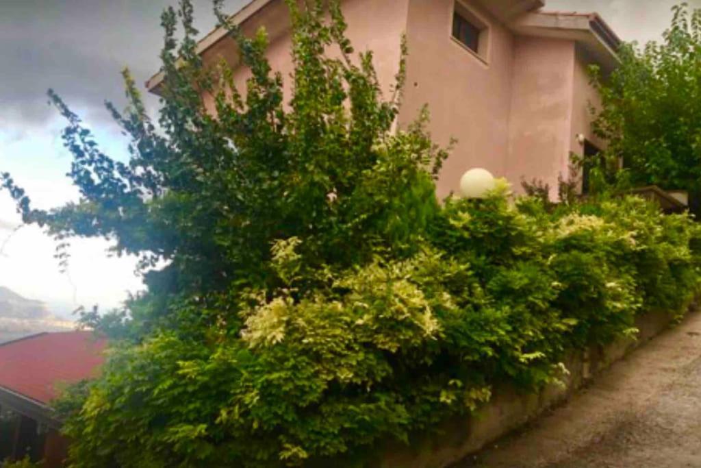 Il Panorama Daire Altofonte Dış mekan fotoğraf